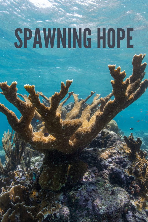 Movie poster for Spawning Hope (2020)