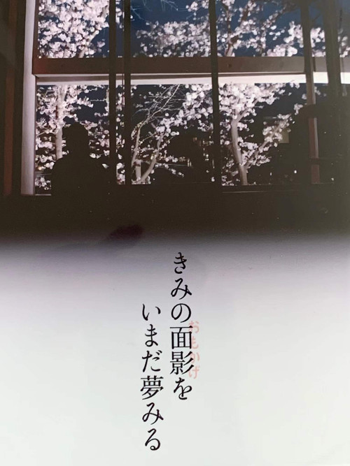 Movie poster for I’m still dreaming of your face (2022)