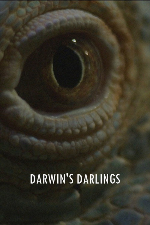 Movie poster for Darwin's Darlings (2025)