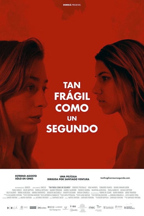 Movie poster for Tan frágil como un segundo (2014)