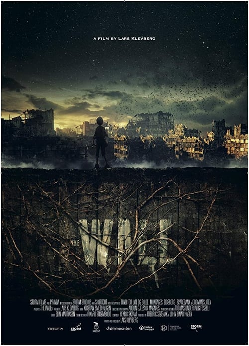 Movie poster for The Wall (2012)