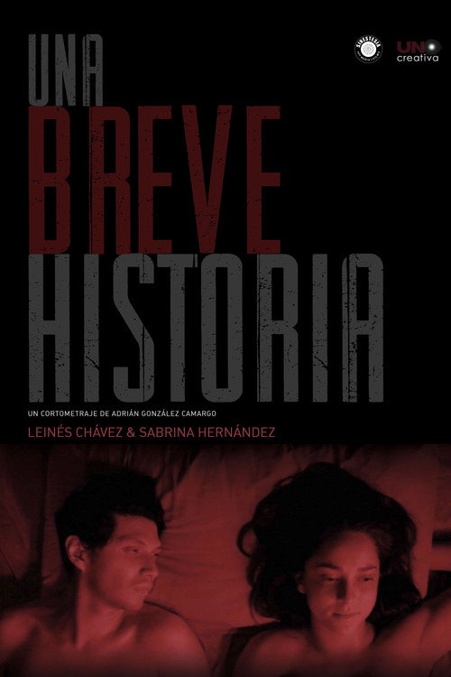 Movie poster for A Short Story (2019)
