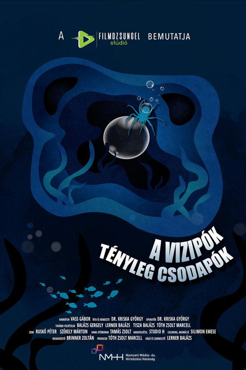 Series poster for A vízipók tényleg csodapók (2018)