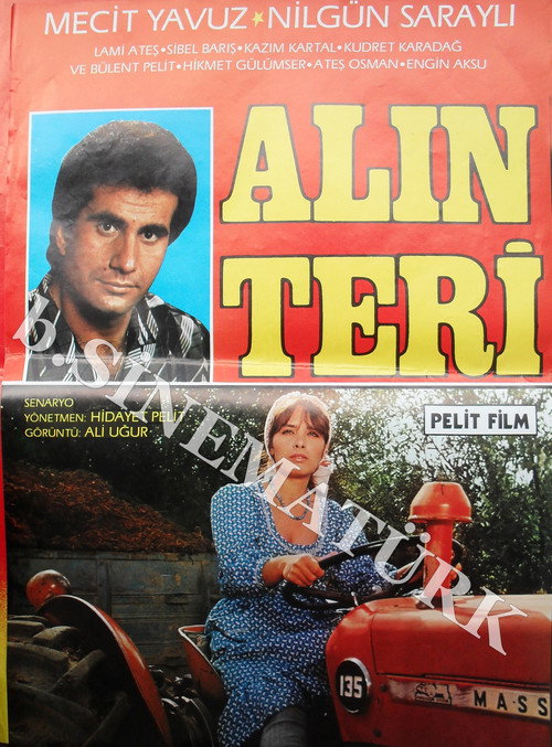 Movie poster for Alın Teri (1987)