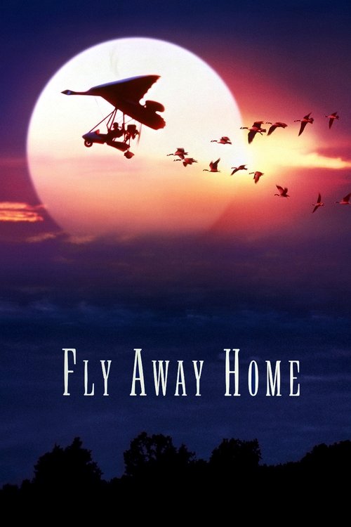 Movie poster for Fly Away Home (1996)