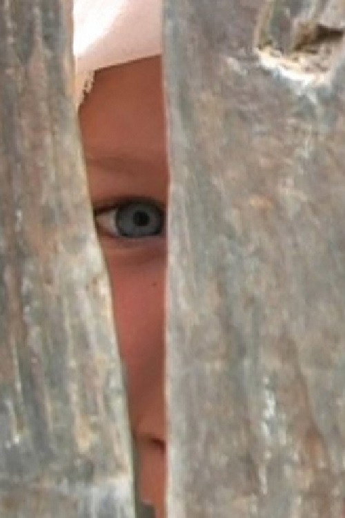 Movie poster for Look at the Life Through My Eyes (2009)