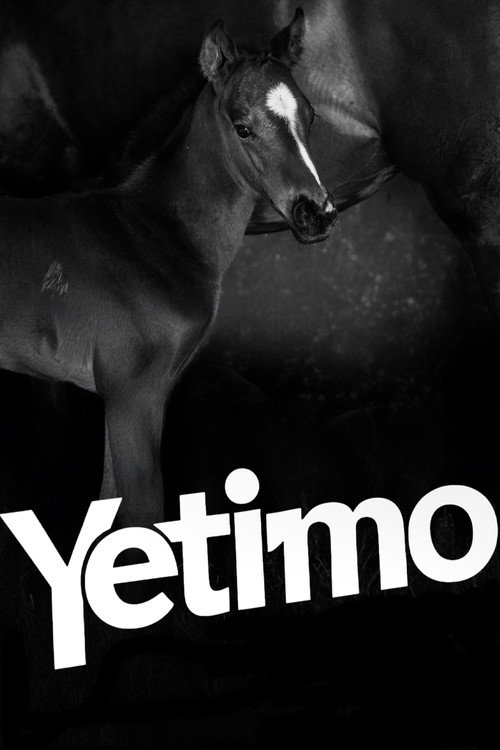 Movie poster for Yetimo (2024)