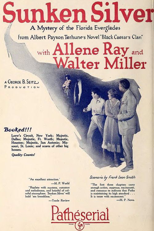 Movie poster for Sunken Silver (1925)