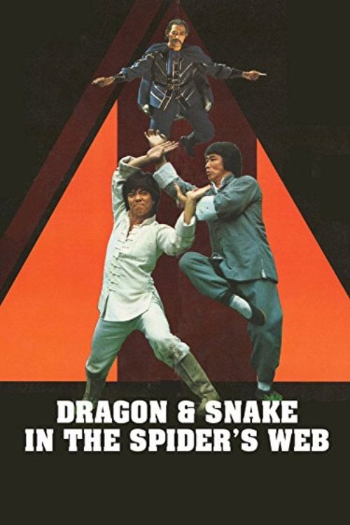 Movie poster for Challenge of Death (1978)