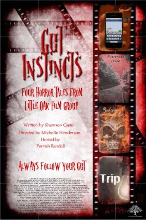 Movie poster for Gut Instincts (2012)