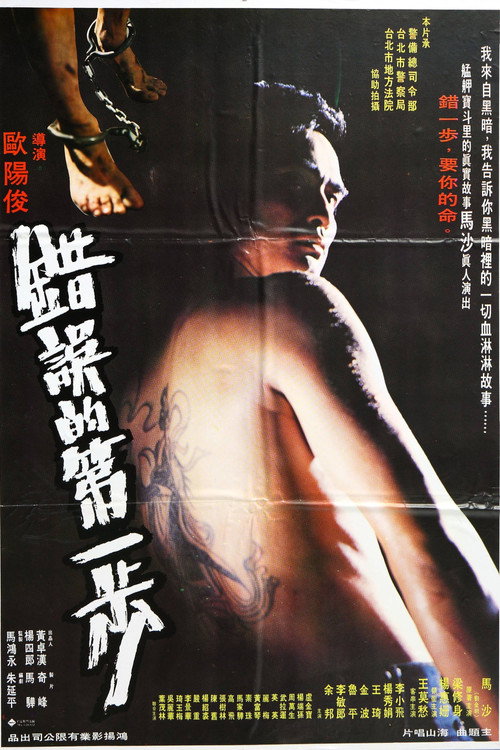 Movie poster for The First Error Step (1980)