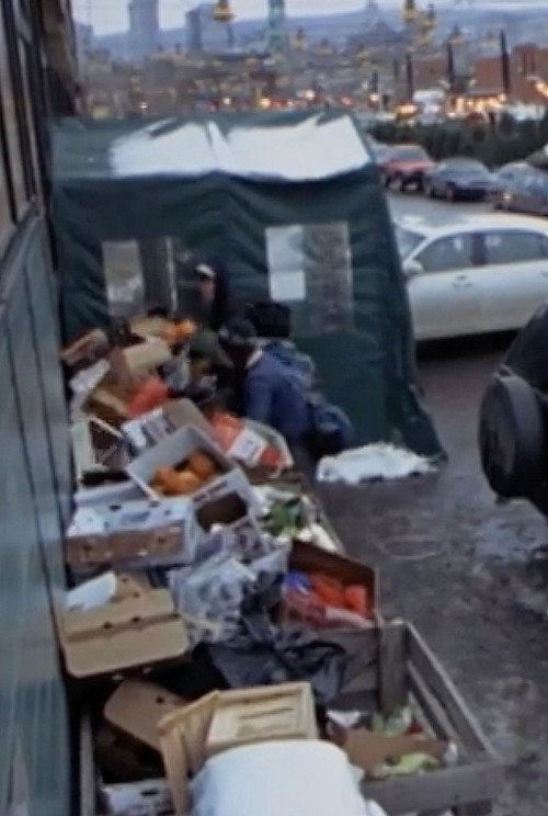 Movie poster for Surfing the Waste: a Musical Documentary about Dumpster Diving (2008)