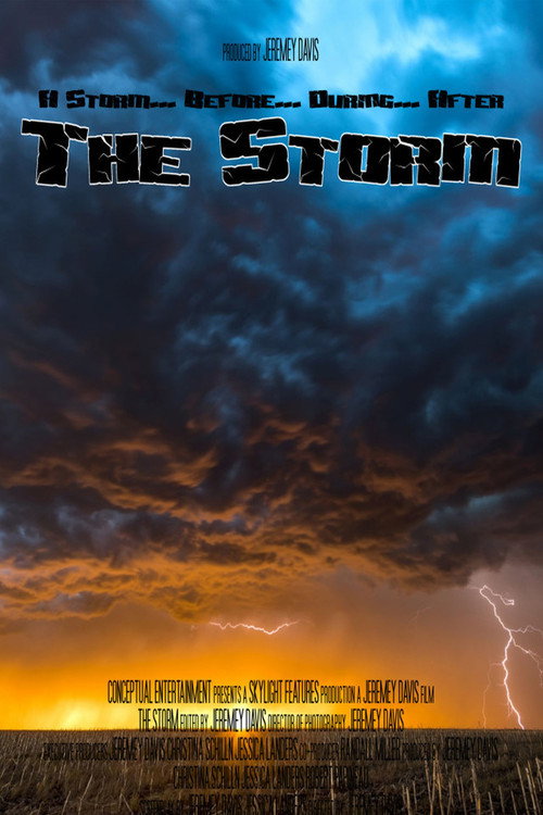 Movie poster for The Storm (2007)