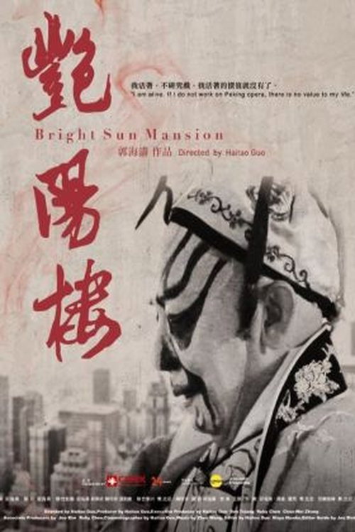 Movie poster for Bright Sun Mansion (2015)