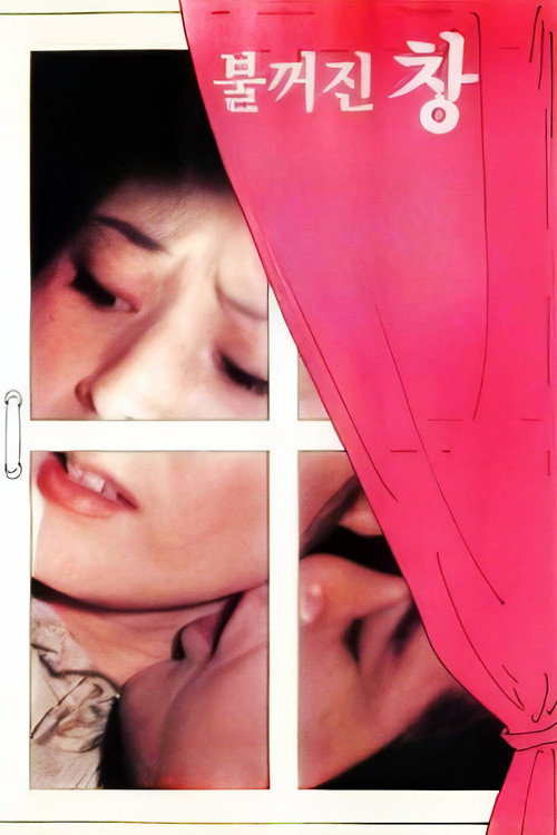 Movie poster for An Extinguished Window (1976)