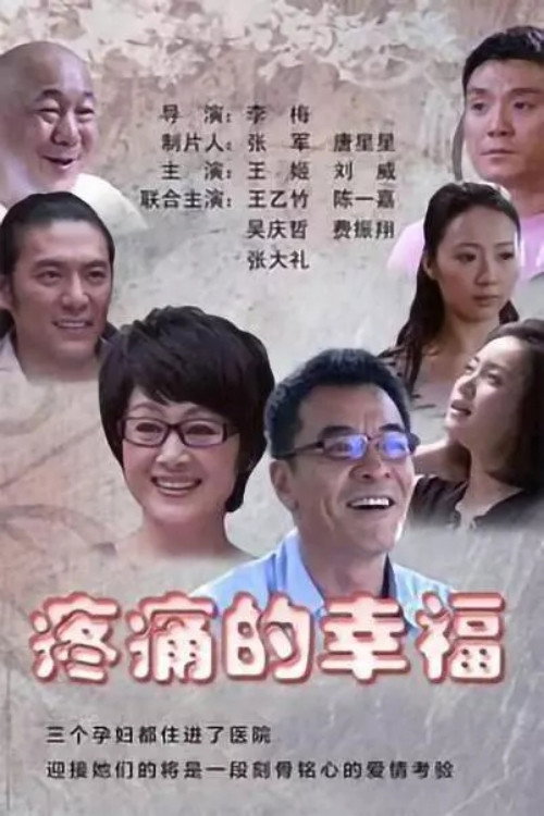 疼痛的幸福 poster