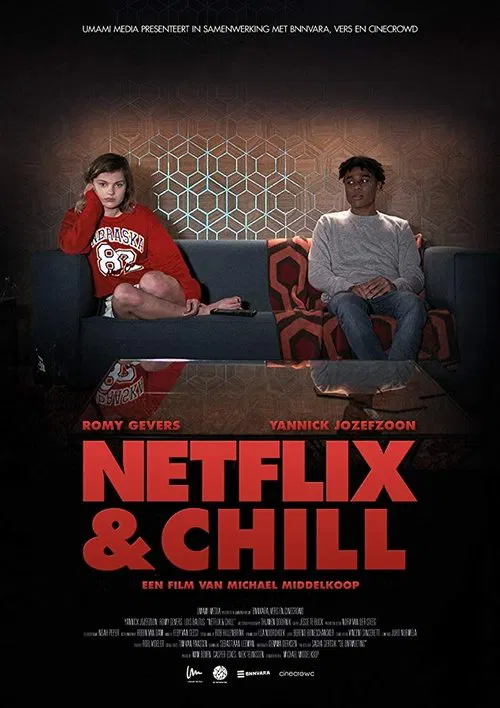 Movie poster for Netflix & Chill (2018)