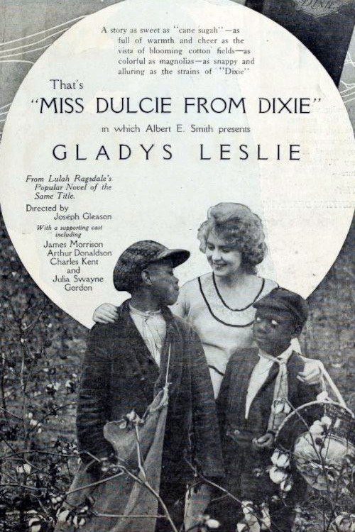 Movie poster for Miss Dulcie from Dixie (1919)