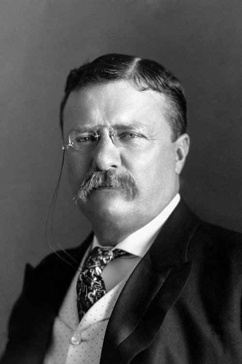 Photo of Theodore Roosevelt, Acting