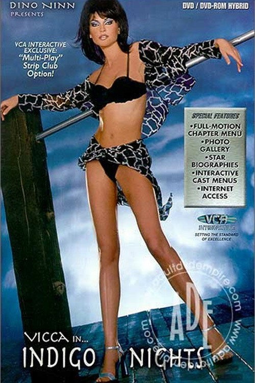 Movie poster for Indigo Nights (2001)