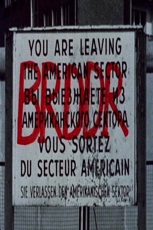 Movie poster for BRDDR (1981)