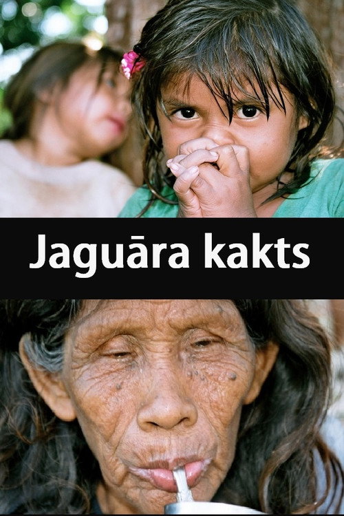 Movie poster for Jaguar's Corner (2010)