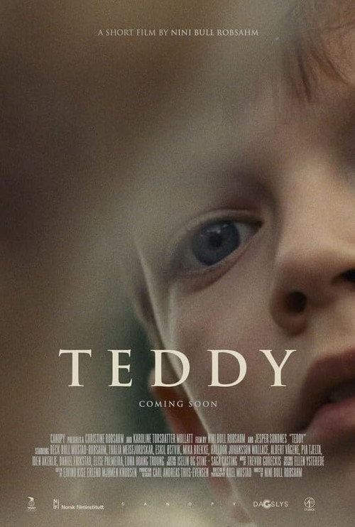 Movie poster for Teddy (2025)