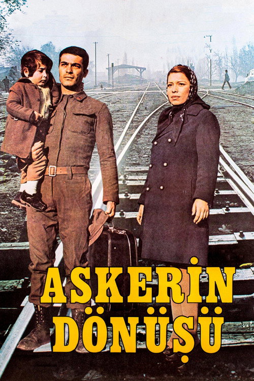 Movie poster for The Return of the Soldier (1974)