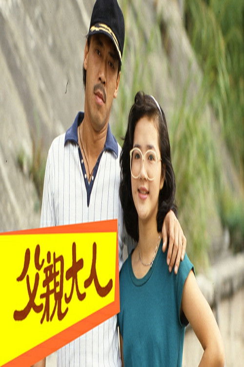 The Second Chance poster