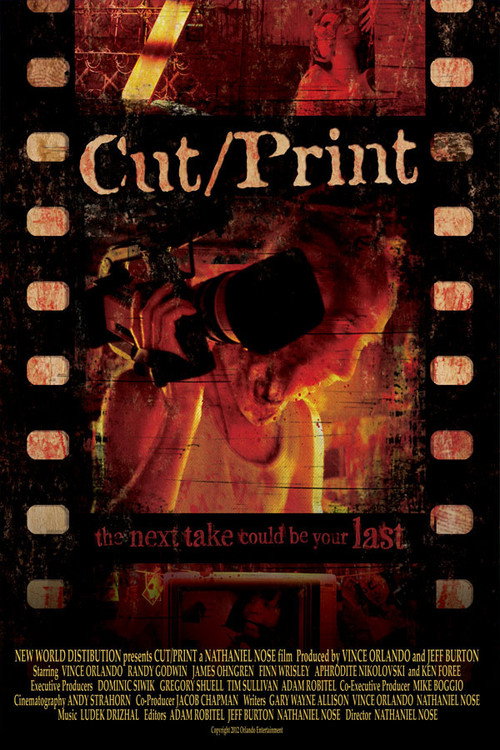 Movie poster for Cut/Print (2012)