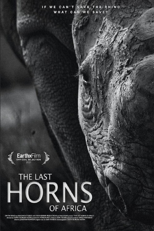 Movie poster for The Last Horns Of Africa (2021)