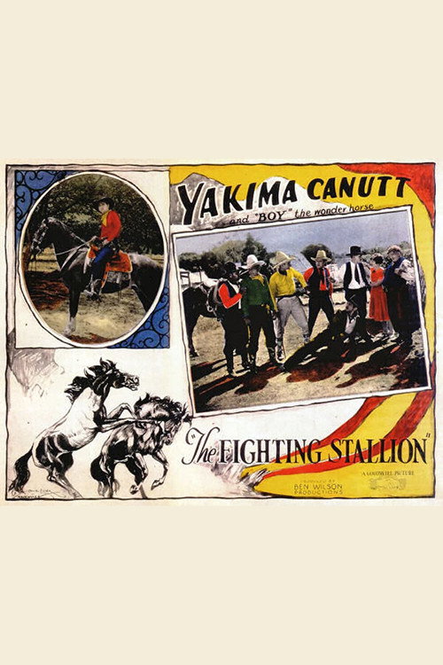 Movie poster for The Fighting Stallion (1926)