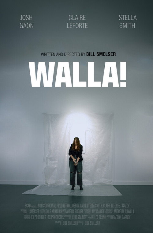 Movie poster for WALLA!