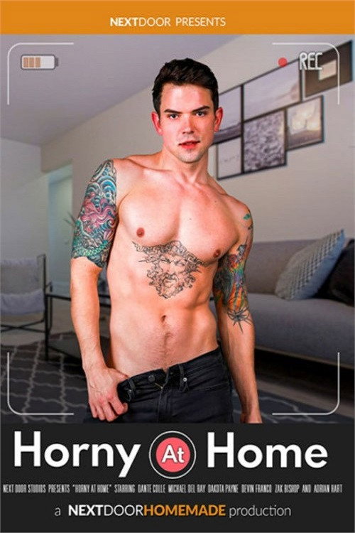 Movie poster for Horny at Home (2023)