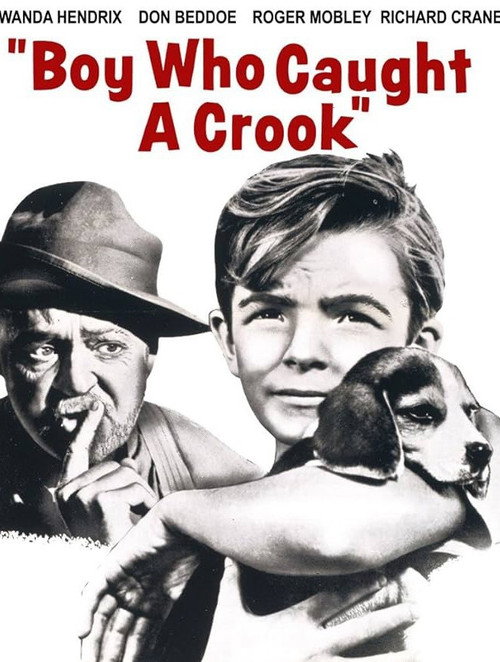 Movie poster for Boy Who Caught a Crook (1961)