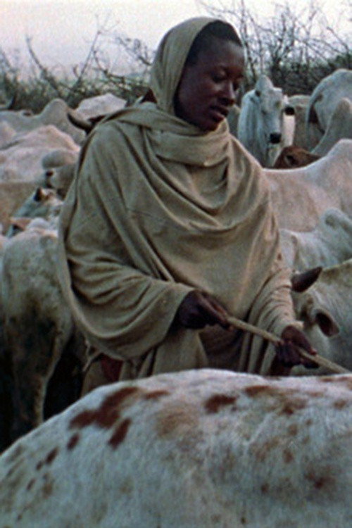 Movie poster for Boran Herdsmen (1974)