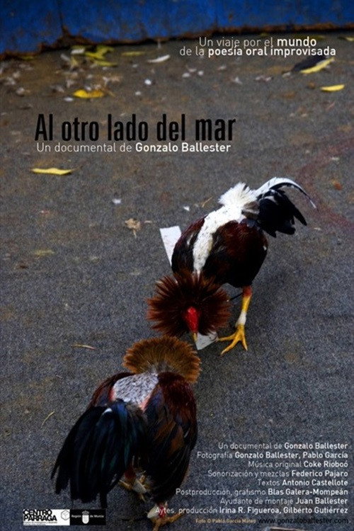 Movie poster for Al Otro Lado del Mar (2011)