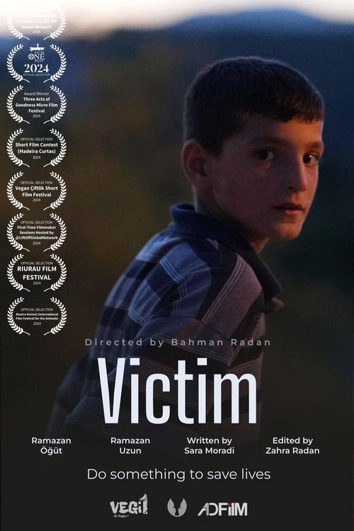 Movie poster for Victim