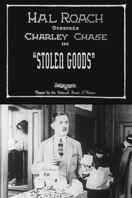 Movie poster for Stolen Goods (1924)