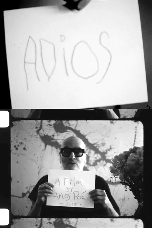 Movie poster for Adios (2025)