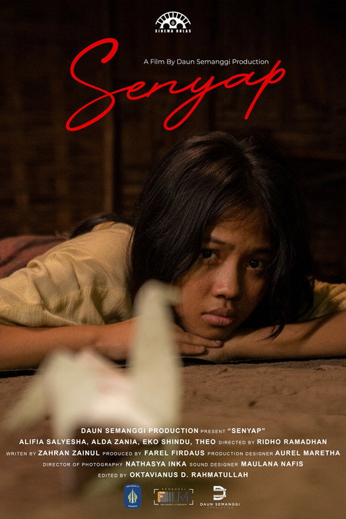 Movie poster for Silences (2025)