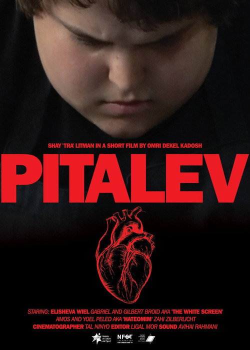 Movie poster for Pitalev (2018)