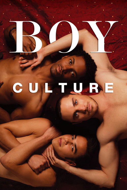 Movie poster for Boy Culture (2006)