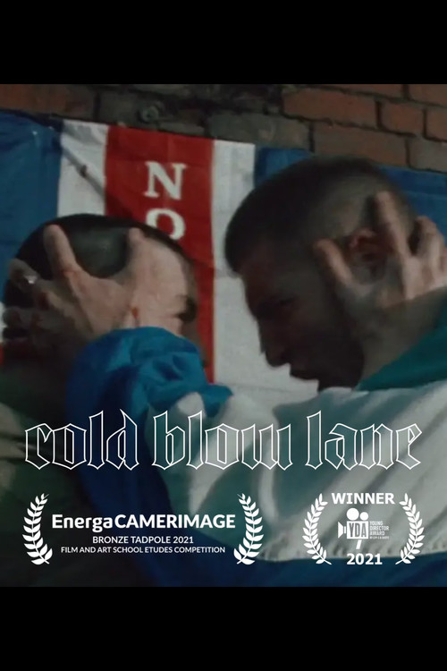 Movie poster for Cold Blow Lane (2021)