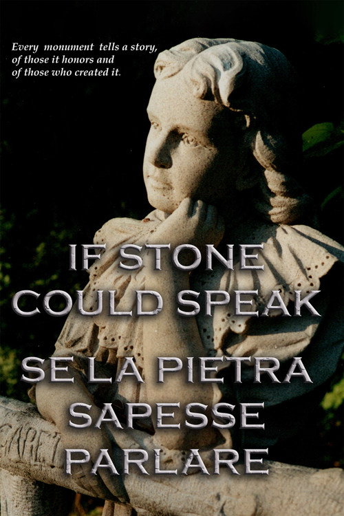Movie poster for If Stone Could Speak (2008)