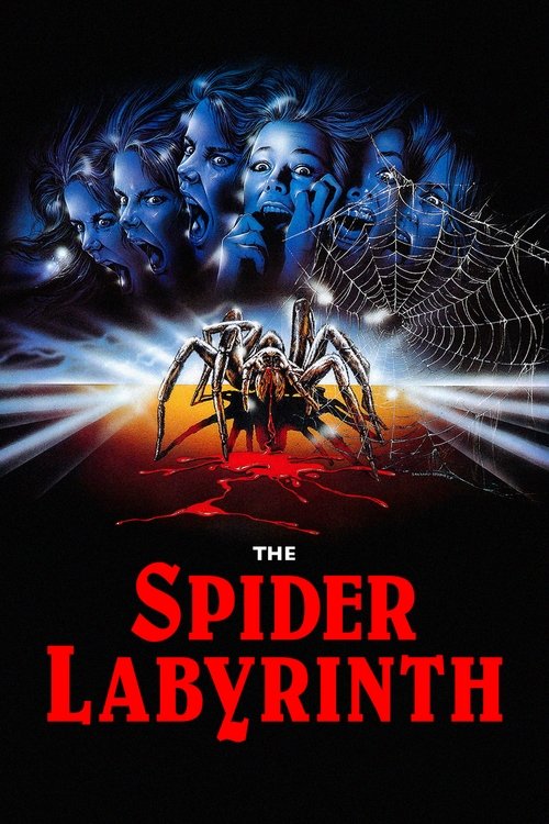 Movie poster for The Spider Labyrinth (1988)