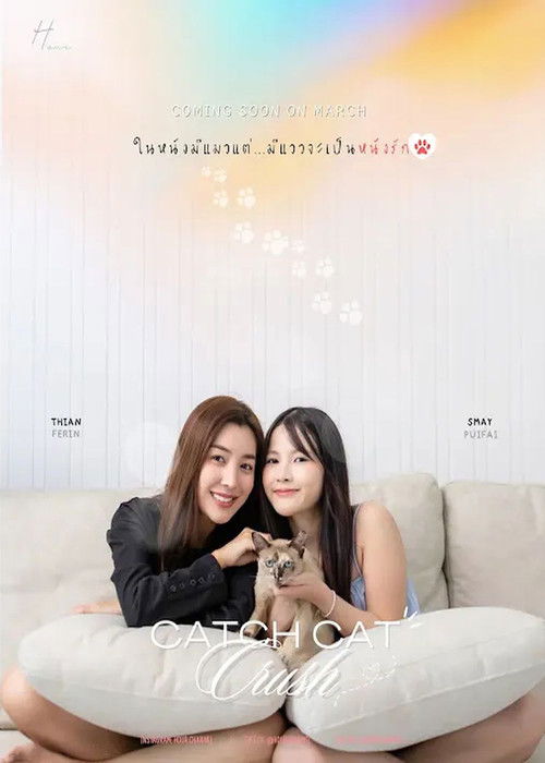 Catch Cat Crush poster
