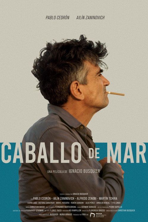 Movie poster for Caballo de mar (2020)