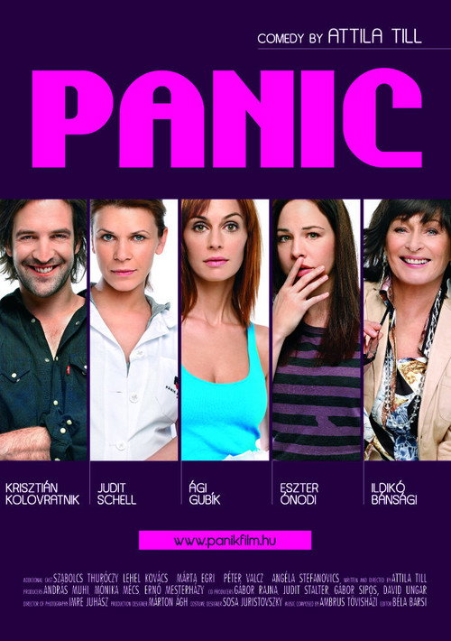 Movie poster for Panic (2008)