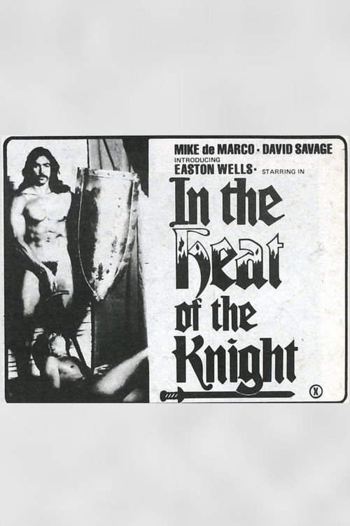 Movie poster for In the Heat of the Knight (1976)